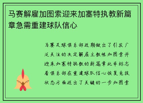 马赛解雇加图索迎来加塞特执教新篇章急需重建球队信心